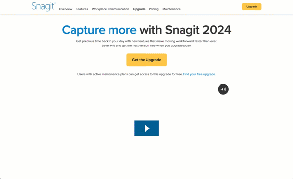 Improving Snagit IUE